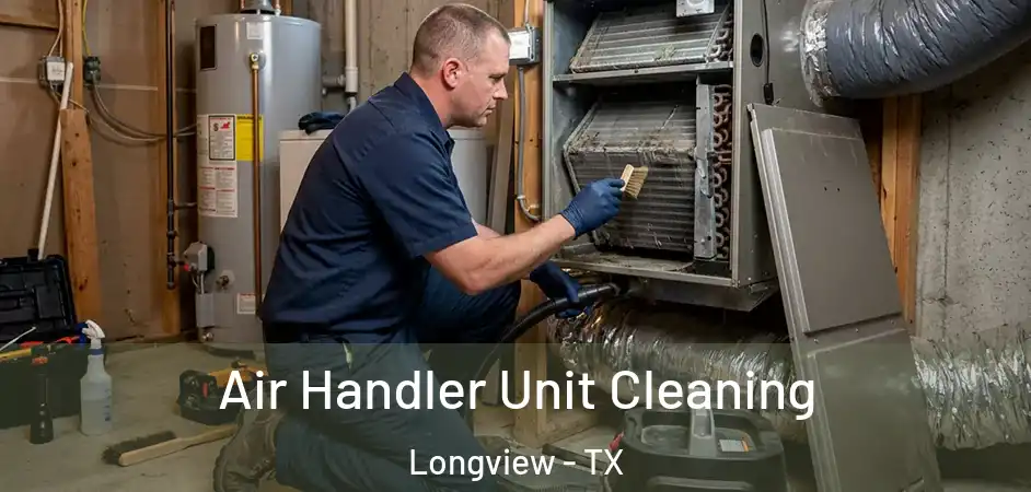 Air Handler Unit Cleaning Longview - TX